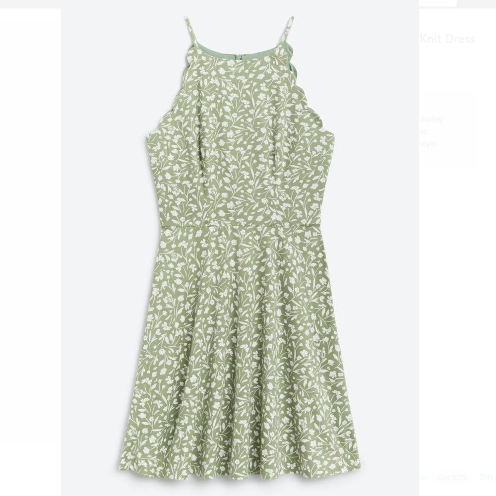 The General Good Taliyah Scallop Detail Knit Dress in Olive